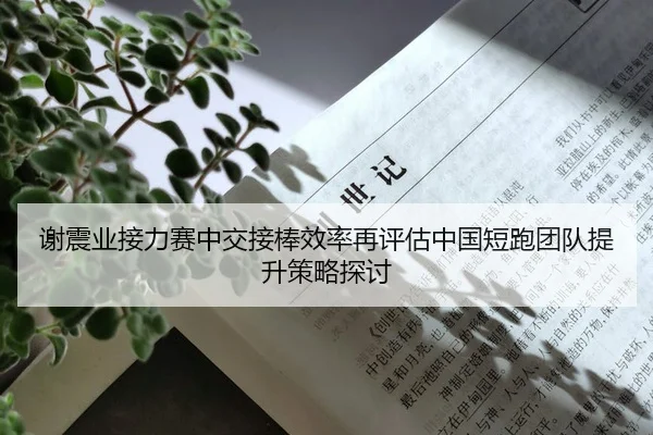 谢震业接力赛中交接棒效率再评估中国短跑团队提升策略探讨