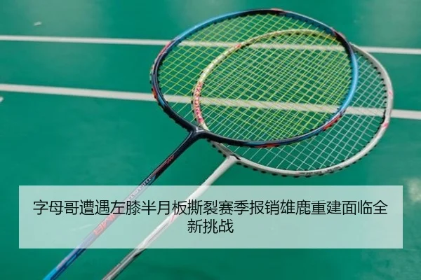 zi-mu-ge-zao-yu-zuo-xi-ban-yue-ban-si-lie-sai-ji-bao-xiao-xiong-lu-chong-jian-mian-lin-quan-xin-tiao-zhan-2-867.jpg