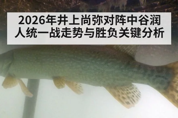 2026年井上尚弥对阵中谷润人统一战走势与胜负关键分析